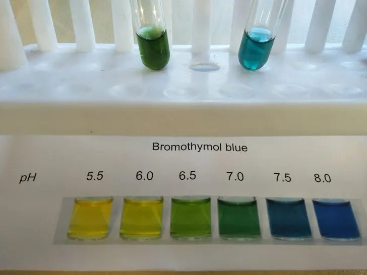 How to Test pH of Water Without a Kit