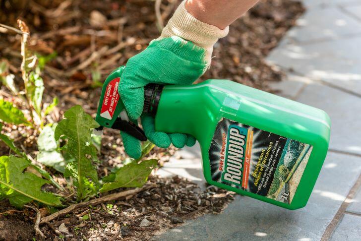 How Long for Weed Killer to Work
