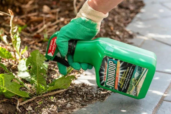How Long for Weed Killer to Work