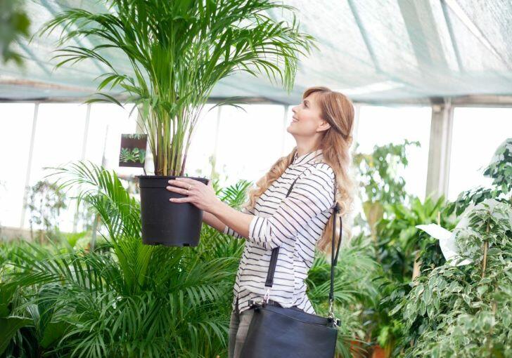What Is Edible Landscaping