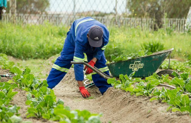 Essential Gardening Clothes for Men