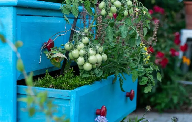 How to Waterproof the Inside of a Wood Planter Box