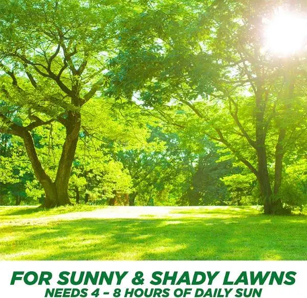 Pennington 100526677 Tall Fescue Smart Grass Best Grass For Houston 2