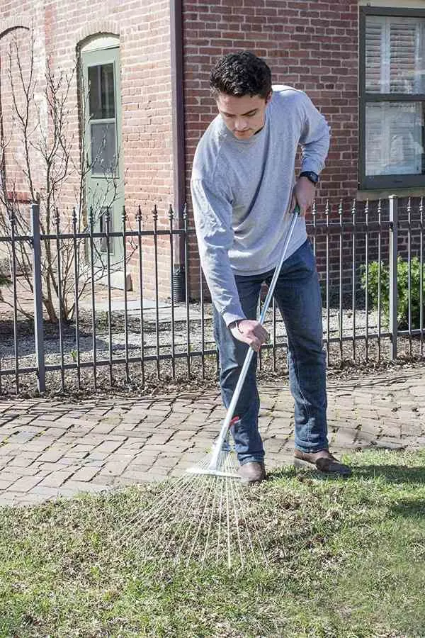 Professional EZ Travel Collection Expandable Adjustable Telescopic Rake for Pine Needle Best Rake For Pine Needles 2