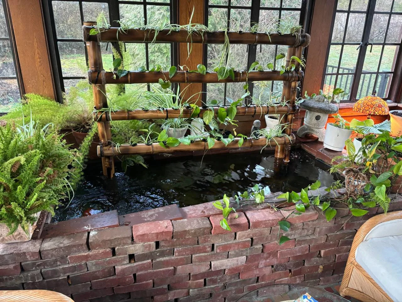 Indoor Water Garden Daytime indoor aquaponics koi pond